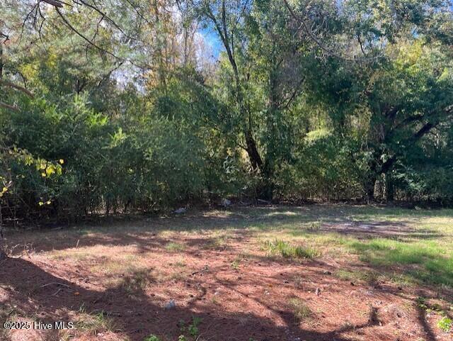 4275 Gum Branch Road Jacksonville, NC 28540 - Photo 7 of 14 thumbnail_IMG_3524