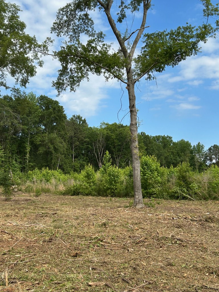 6395 Dinkins Mill Road Rembert, SC 29128 - Photo 6 of 7