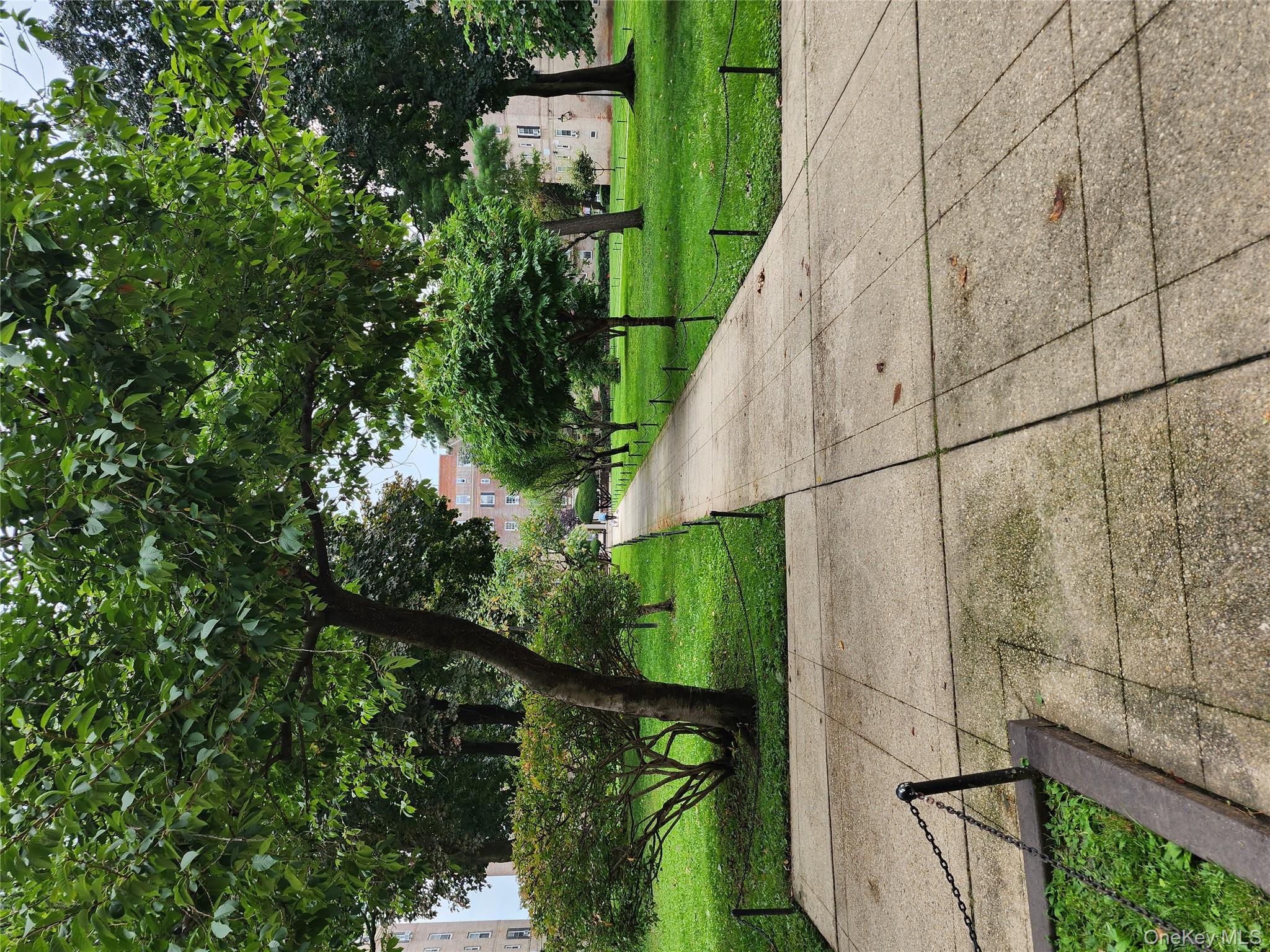 30-47 Hobart Street, Unit DDB Queens, NY 11377 - Photo 3 of 25 a view of a park with plants and a large tree
