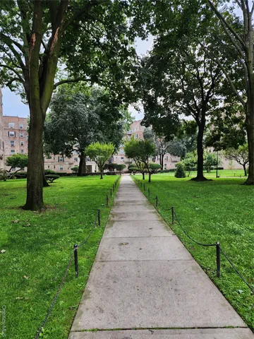 a park with large trees
