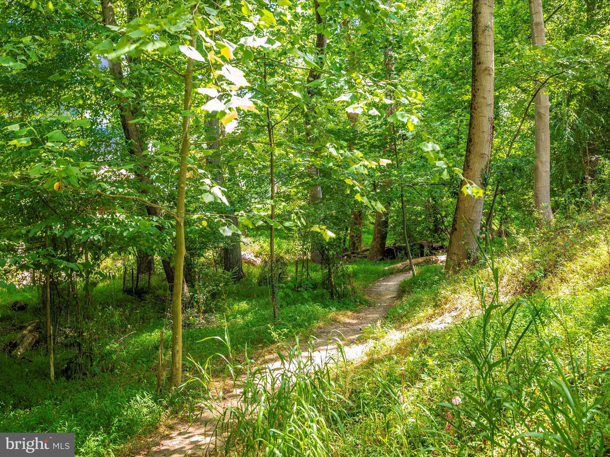 13312 Locksley Lane Silver Spring, MD 20904 - Photo 102 of 102 Trail