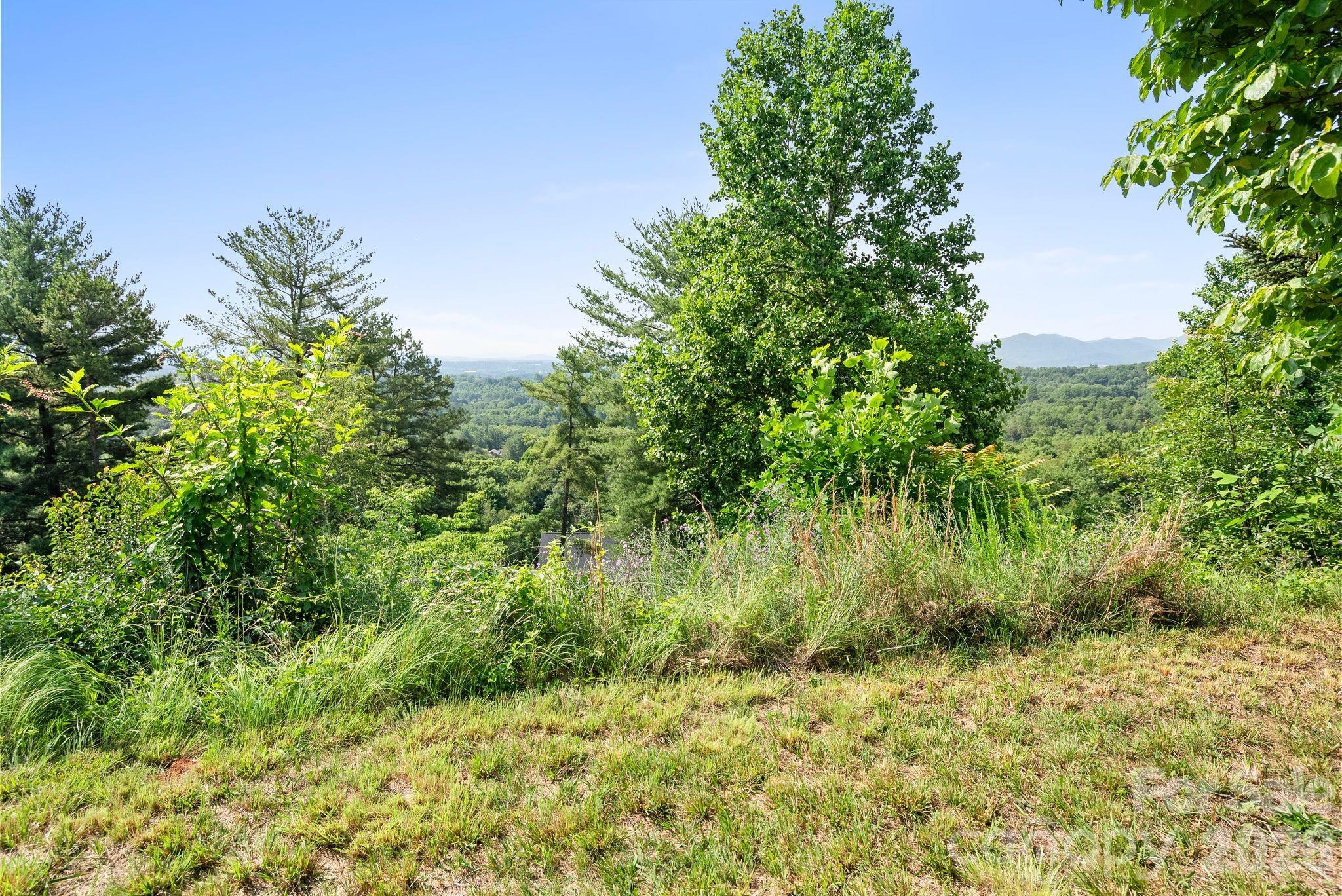 133 Spivey Mountain Road Asheville, NC 28806 - Photo 33 of 40 a view of a yard with plants and a tree