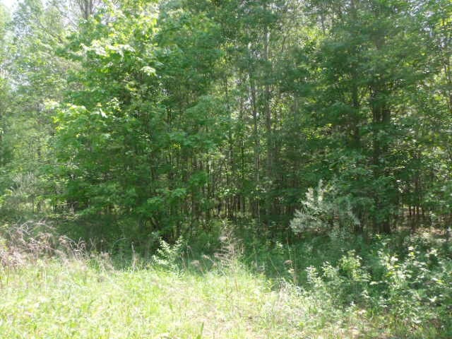 2350 North Black Road Twining, MI 48766 - Photo 35 of 35 1800556-34.JPG