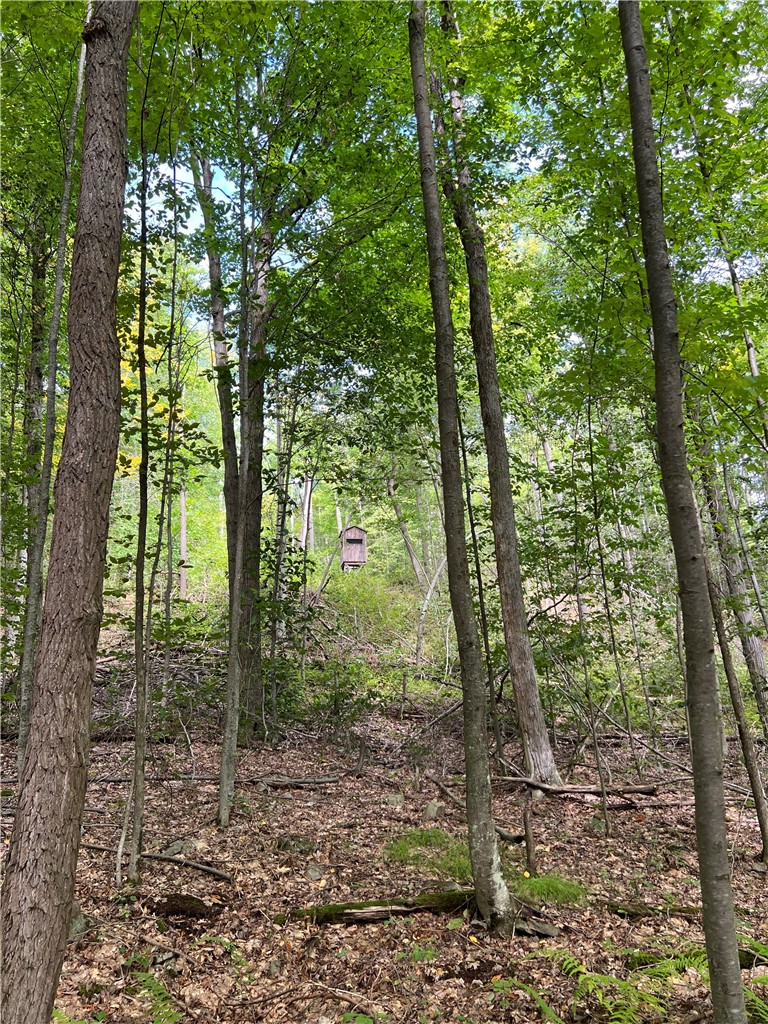 Dyke Road Corning, NY 14830 - Photo 20 of 49 Gallery Image 20