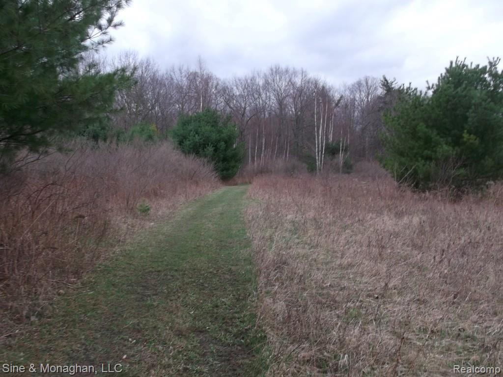 5267 Davis Road St. Clair, MI 48079 - Photo 49 of 55 DSCF0010 (Medium).jpg