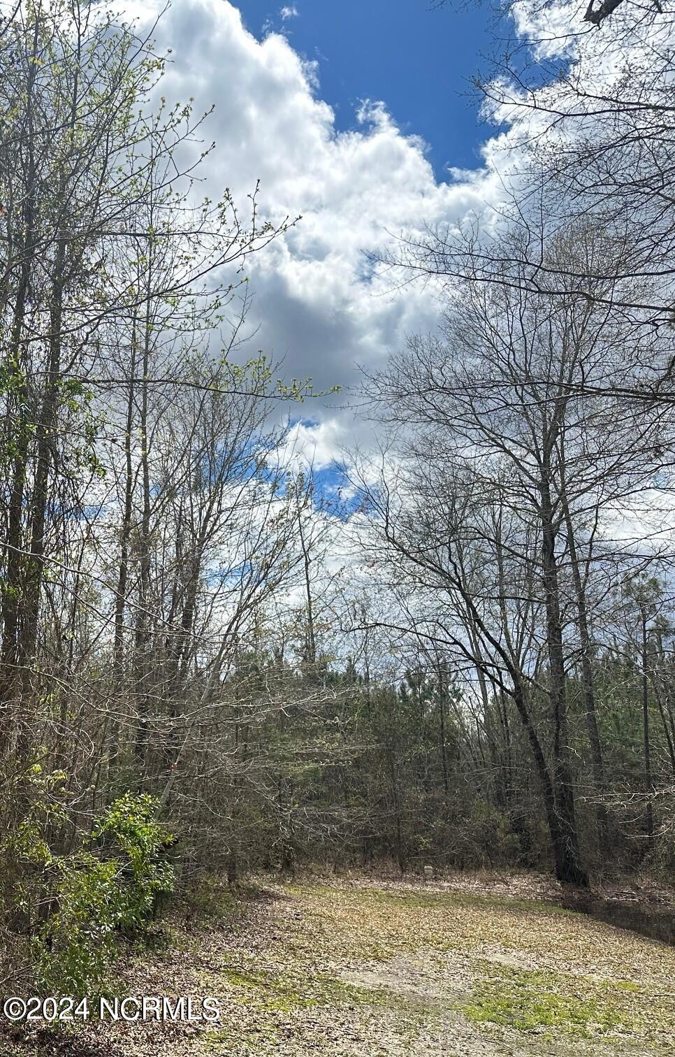 6 Hassell Road Elizabeth City, NC 27909 - Photo 1 of 3 Looking at parcel 6 from right away