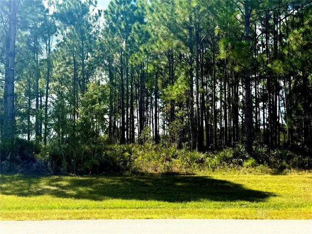 $90,000 | 4571 Wright Bros. Road, Frostproof, FL 33843