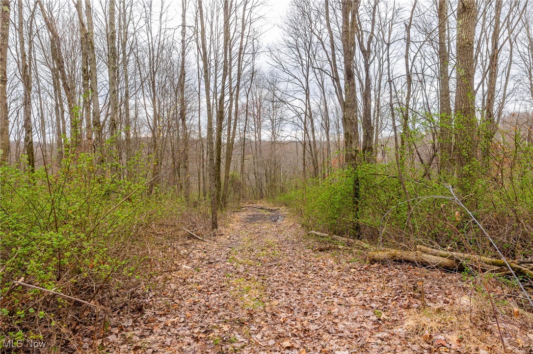 Oak Ridge Road Wellsville, OH 43968 - Photo 40 of 45 View of nature featuring a wooded view