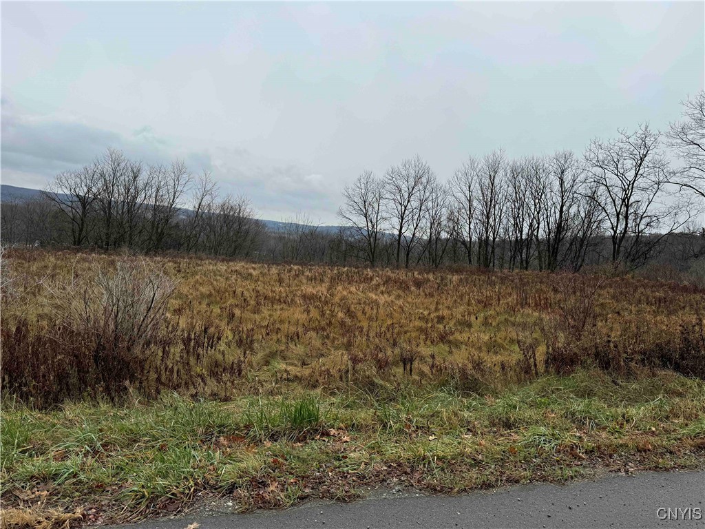 Town Line Road Jamestown, NY 14701 - Photo 1 of 1