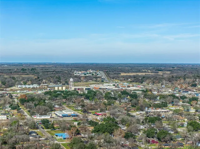 an aerial view of ocean and trees