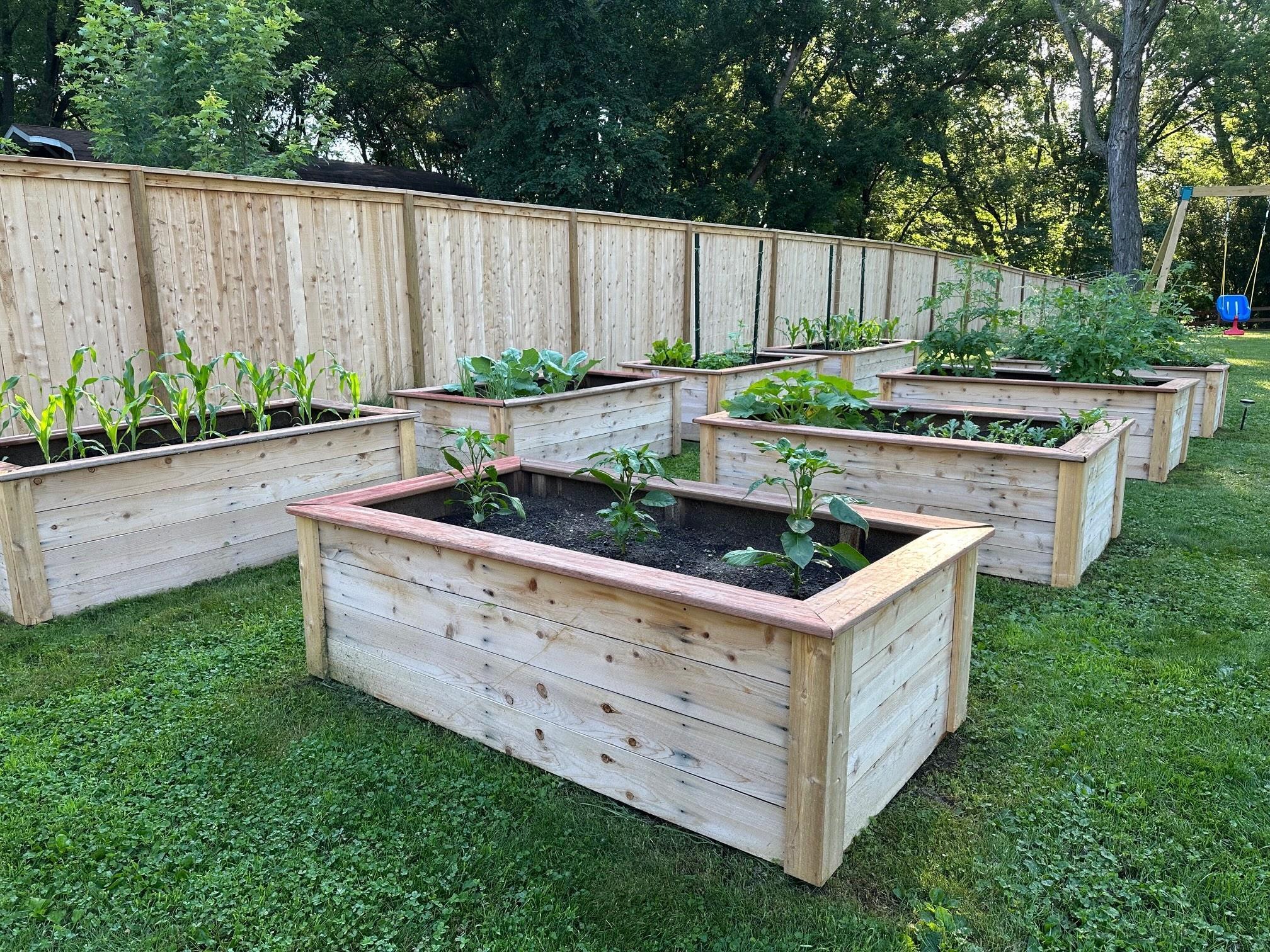 3727 Farmington Road Hopkins, MN 55305 - Photo 47 of 52