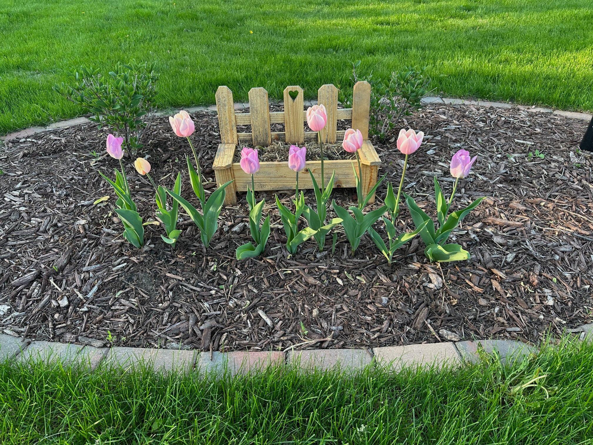 3727 Farmington Road Hopkins, MN 55305 - Photo 48 of 52