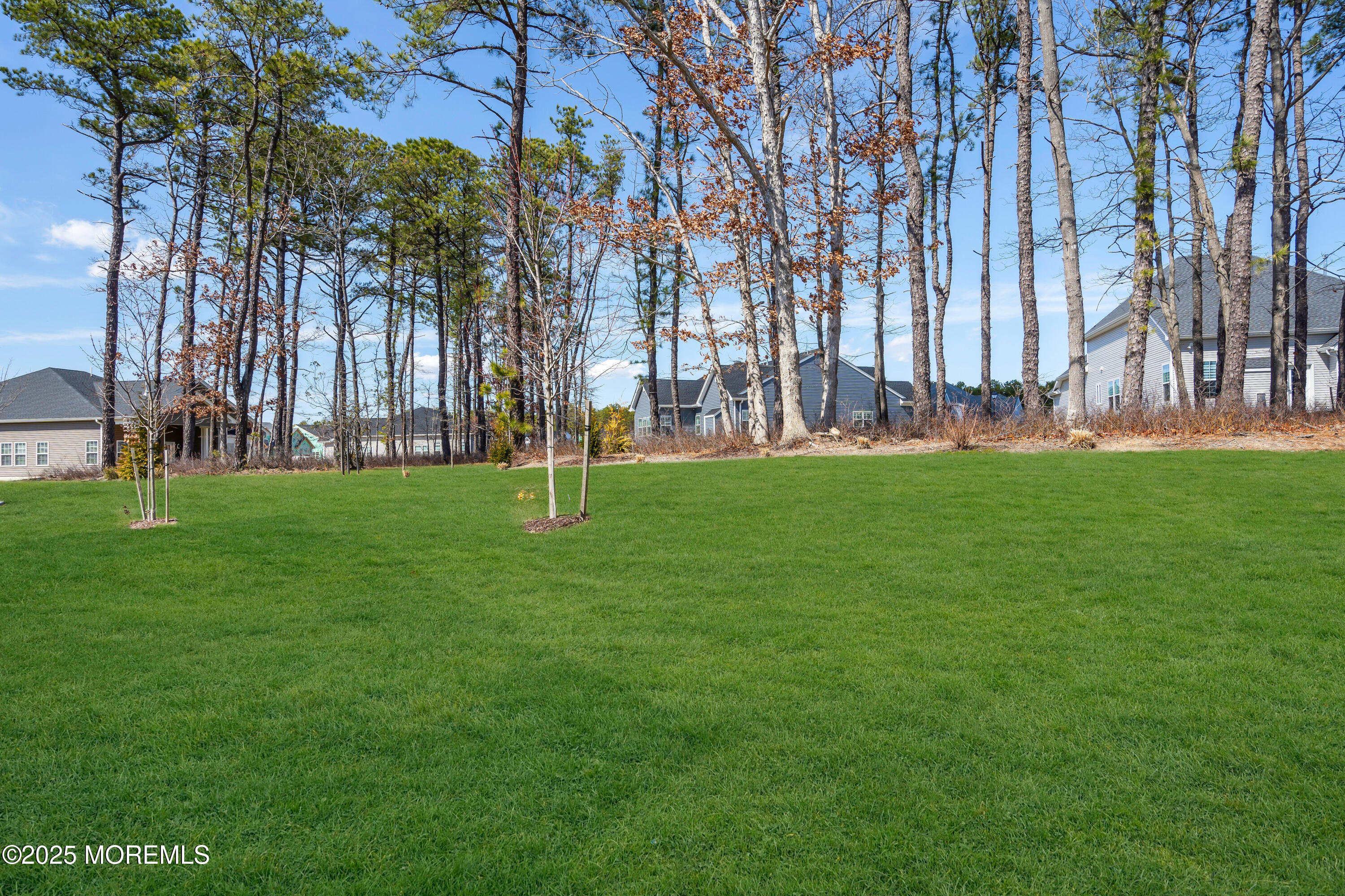 65 Moonlight Drive Barnegat, NJ 08005 - Photo 48 of 68 a garden with trees in the background