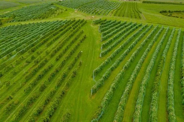 $3,275,000 | S3424 Peterson Lane, Viroqua, WI 54665