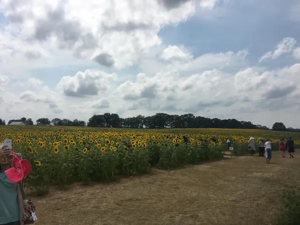 $3,275,000 | S3424 Peterson Lane, Viroqua, WI 54665