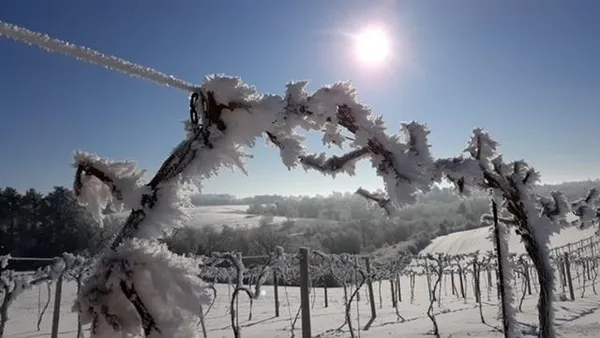 $3,275,000 | S3424 Peterson Lane, Viroqua, WI 54665