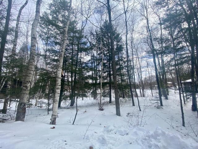 Lot 3 Birch Point Road Summit Lake, WI 54485 - Photo 1 of 1