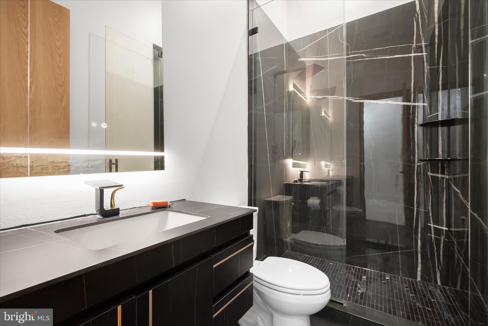 4509 Foxhall Crescent Northwest Washington, DC 20007 - Photo 25 of 39 a bathroom with a sink a toilet and shower