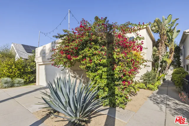 a view of a flower in a garden