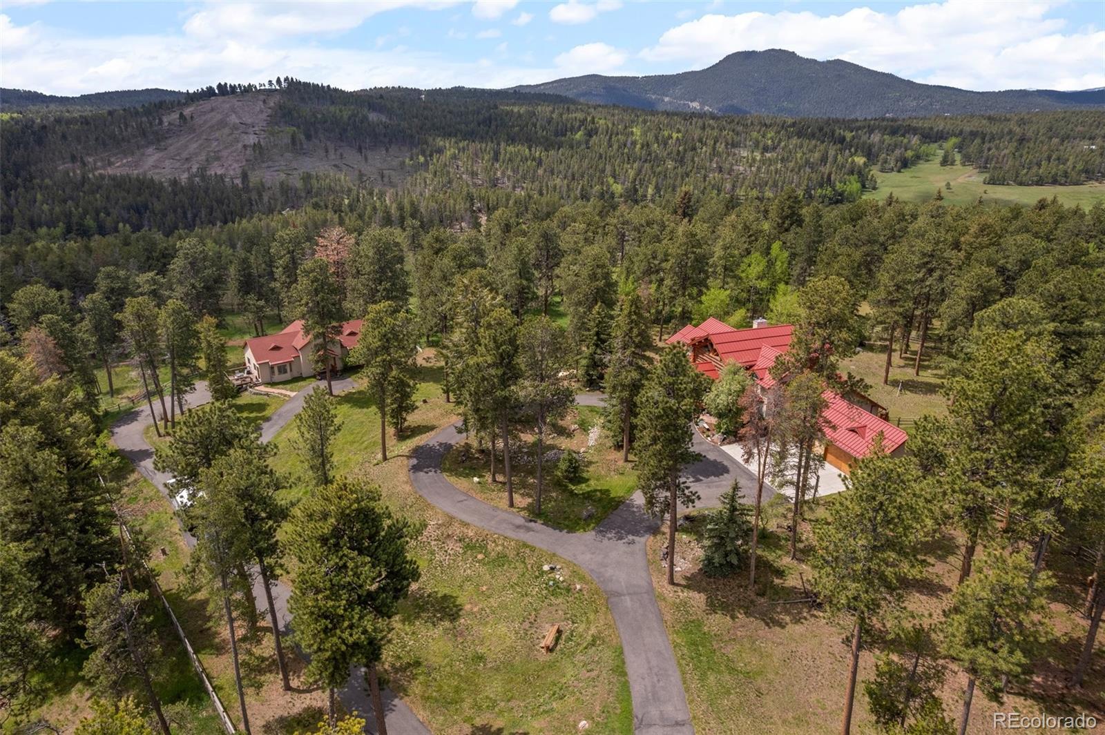 23076 Oehlmann Park Road Conifer, CO 80433 - Photo 3 of 50 Gallery Image 3