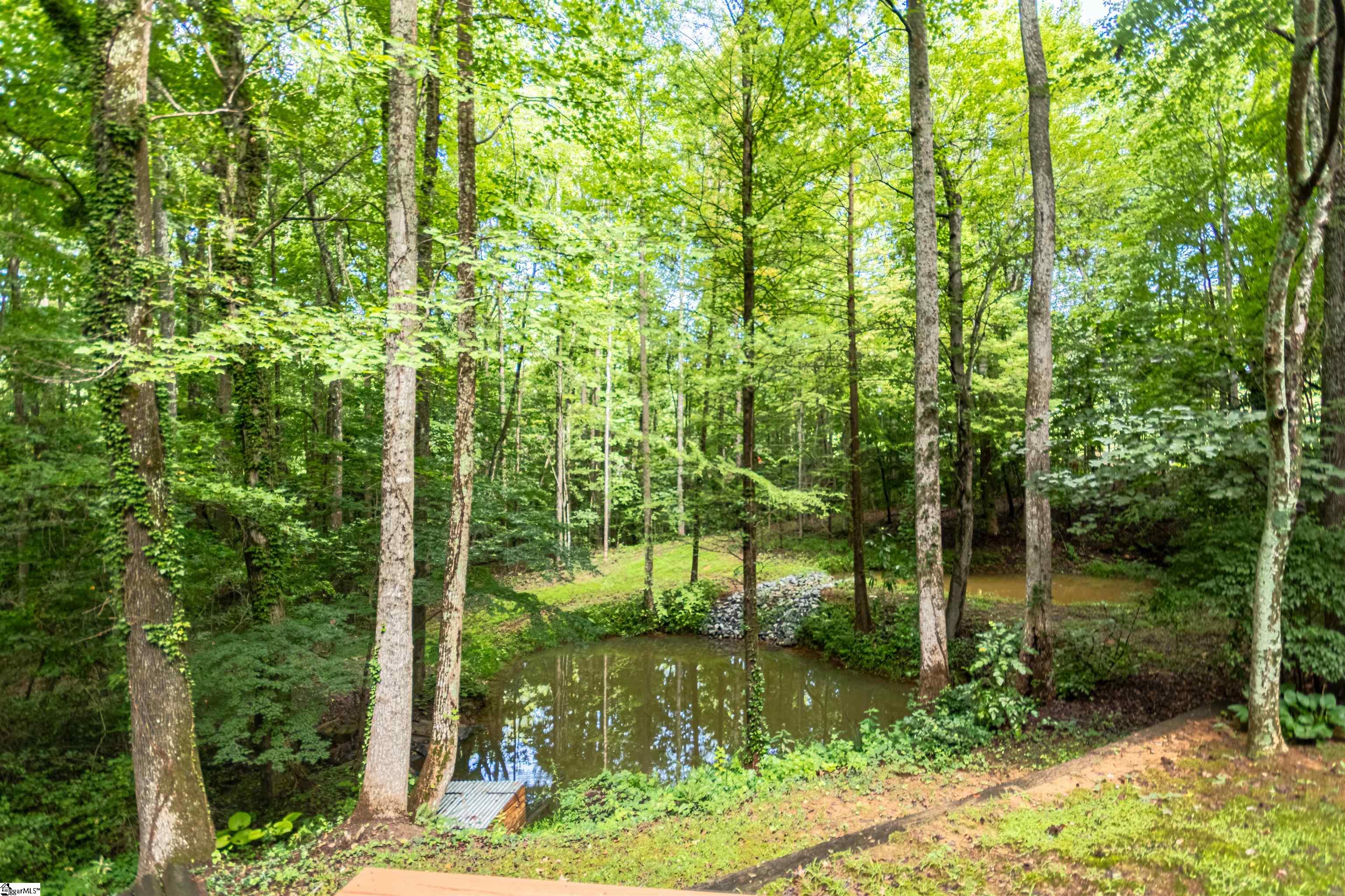 1113 State Park Road Greenville, SC 29609 - Photo 24 of 30