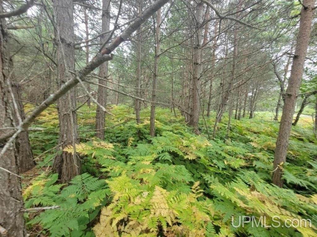 Tbd Tbd Connors Road Munising, MI 49862 - Photo 3 of 3