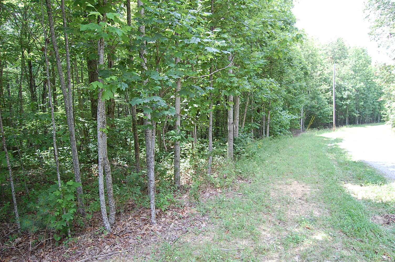 10 Laurel Brk Road Dunlap, TN 37327 - Photo 16 of 23 DSC_0049