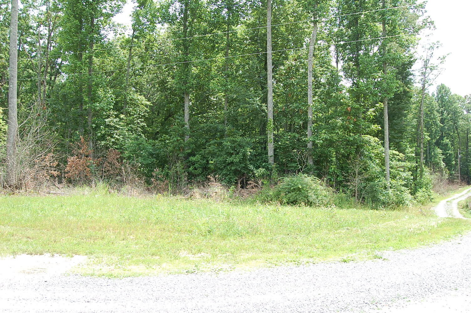 10 Laurel Brk Road Dunlap, TN 37327 - Photo 19 of 23 DSC_0052