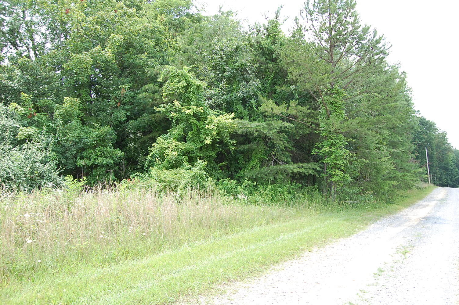 10 Laurel Brk Road Dunlap, TN 37327 - Photo 2 of 23 DSC_0035