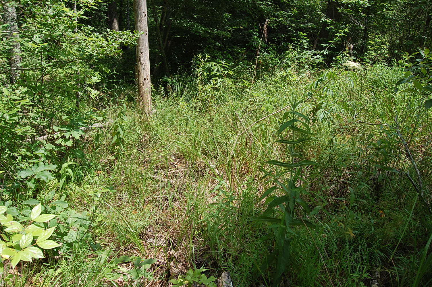 10 Laurel Brk Road Dunlap, TN 37327 - Photo 22 of 23 DSC_0055