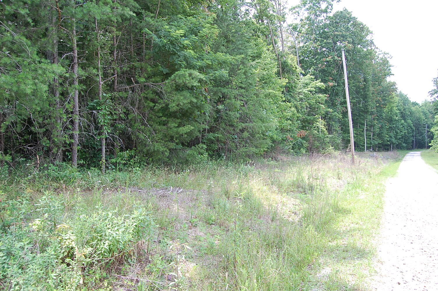 10 Laurel Brk Road Dunlap, TN 37327 - Photo 10 of 23 DSC_0043