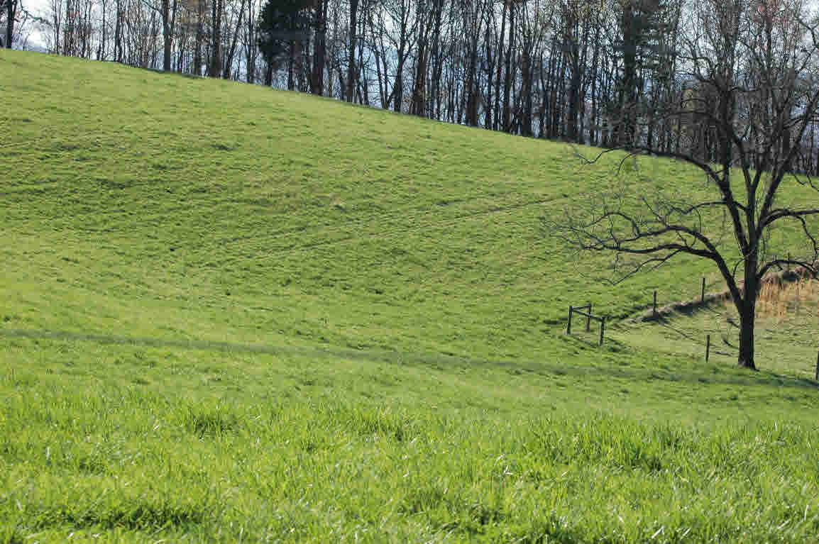 Lot J Springdale Road Pearisburg, VA 24134 - Photo 18 of 51 Gallery Image 18