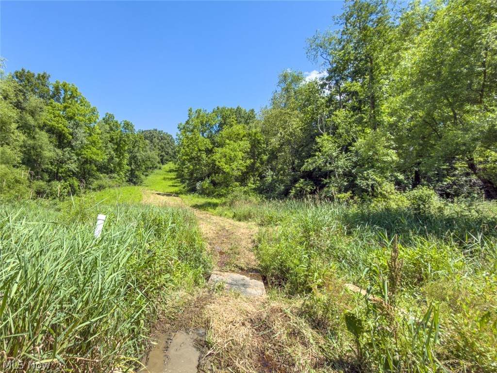 6985 Brush Run Road Cambridge, OH 43725 - Photo 49 of 50