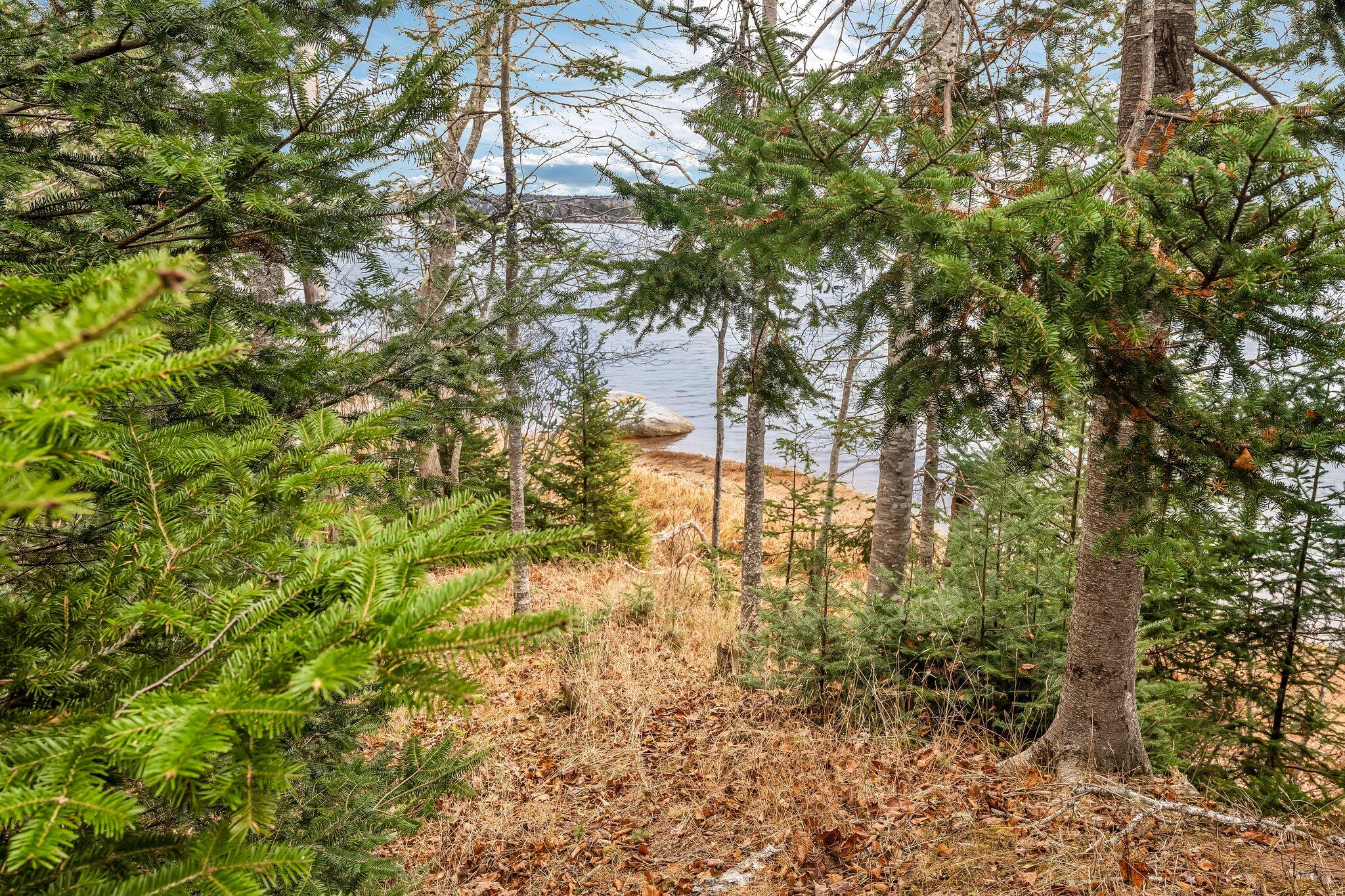 30 Lily Cove Road Harrington, ME 04643 - Photo 60 of 61 57-web-or-mls-30-lily-cove-rd