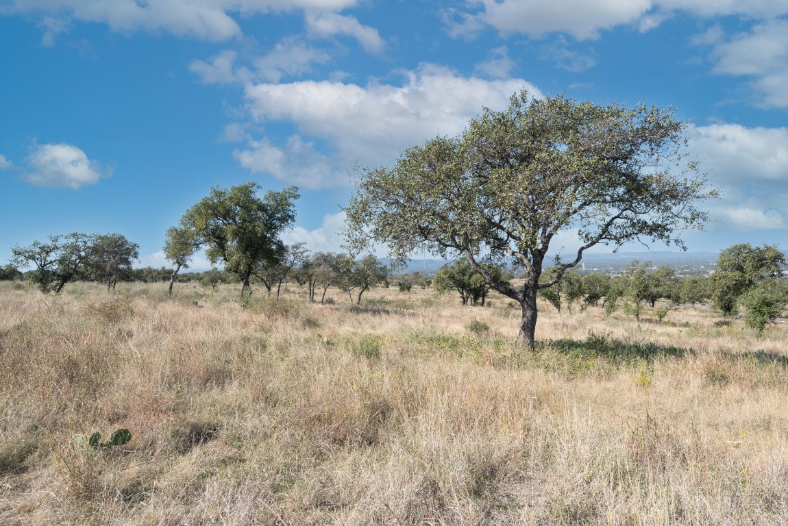 0 Whiterock Kingsland, TX 78639 - Photo 14 of 19 a view of ocean