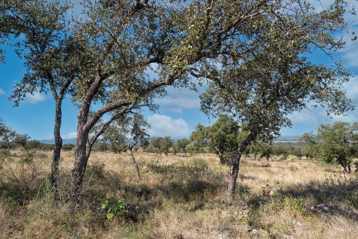 0 Whiterock Kingsland, TX 78639 - Photo 16 of 19 a view of a yard