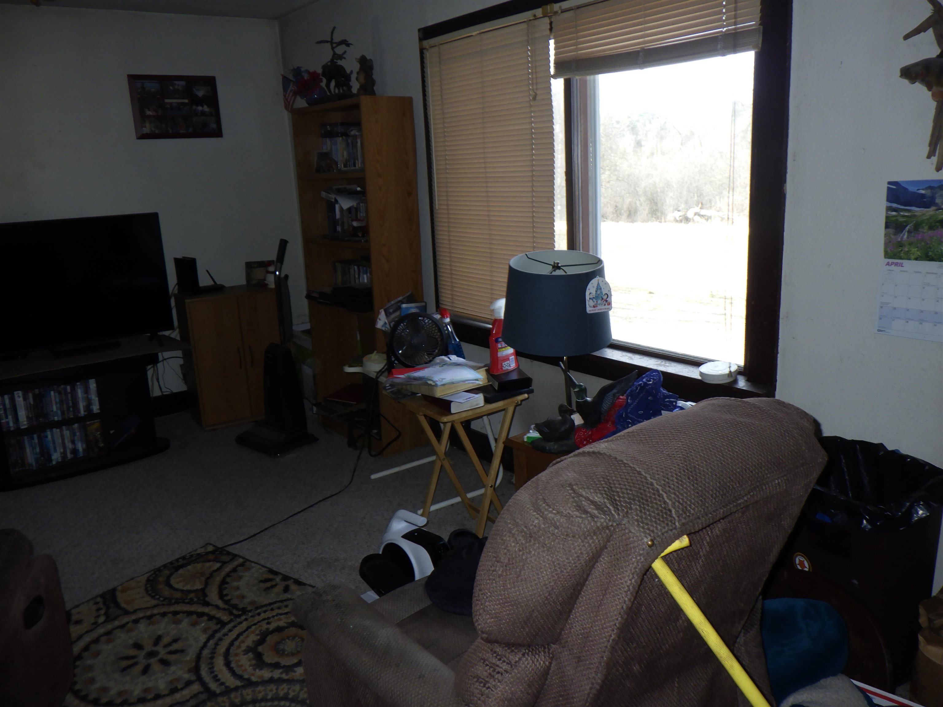 735 Kohlschmidt Alley Marion, WI 54950 - Photo 3 of 15