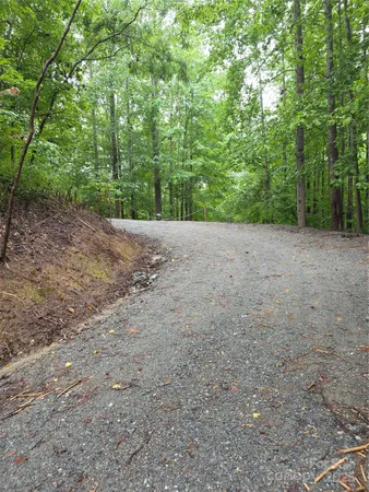 a view of a field with trees in the background