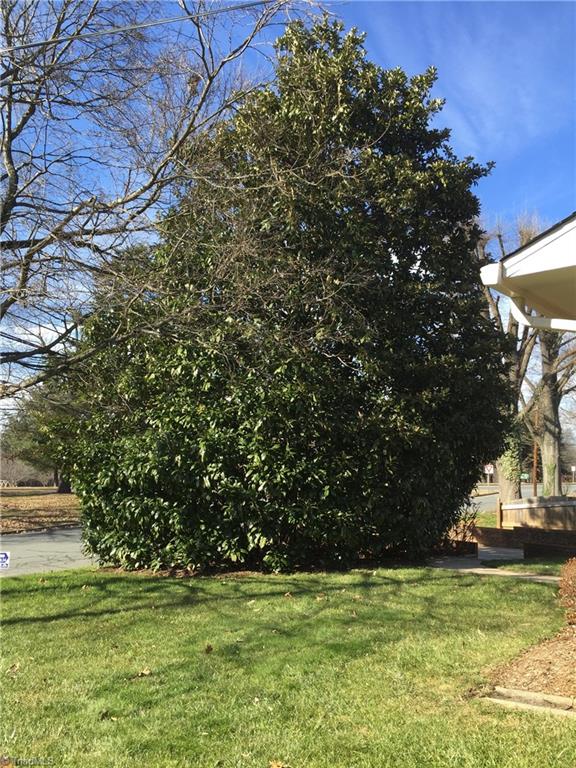 1545 Sandersted Road Southwest Winston-Salem, NC 27103 - Photo 8 of 27 Beautiful Magnolia blocks off traffic