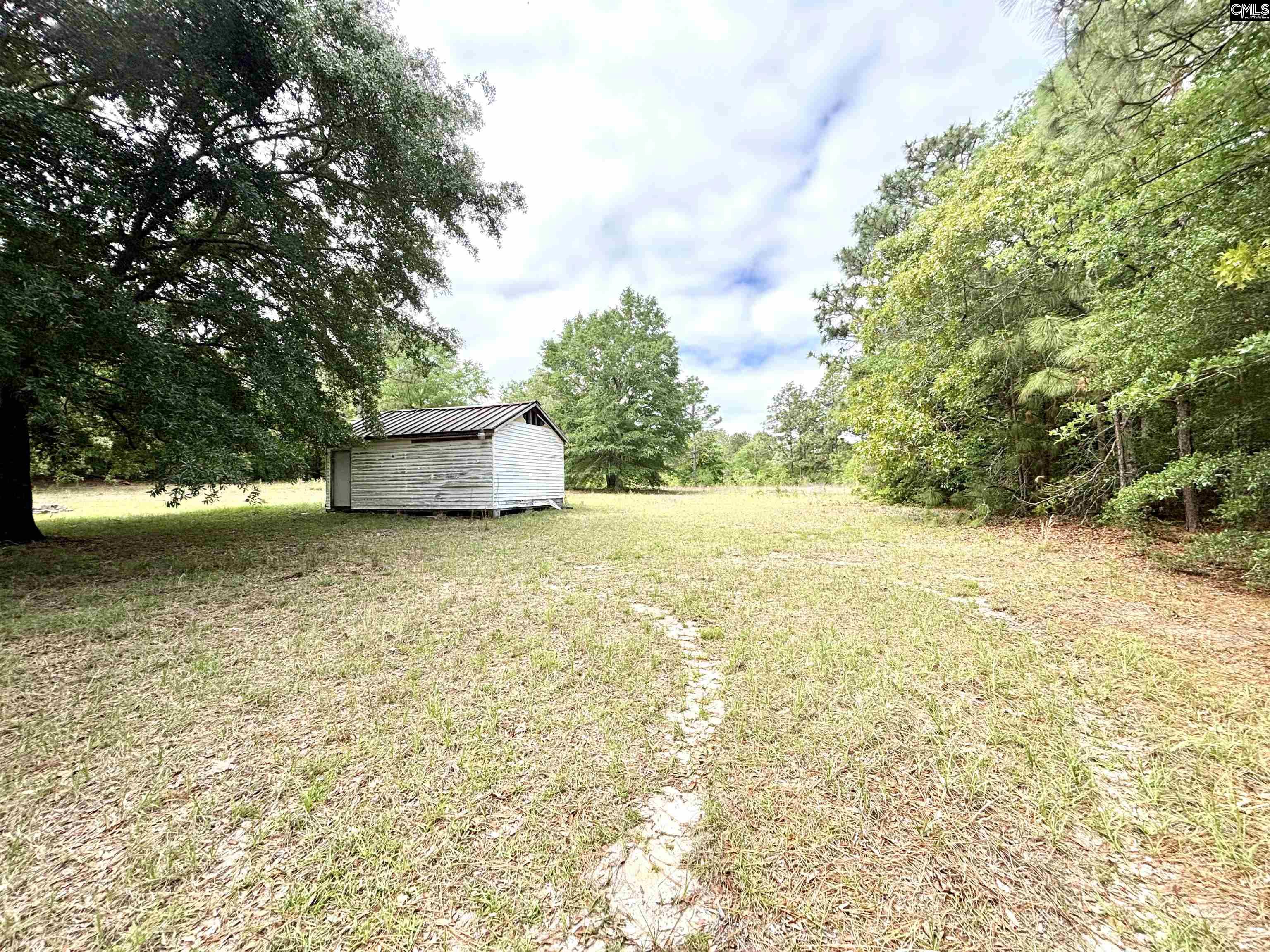 310 Otis Road Pelion, SC 29123 - Photo 4 of 18