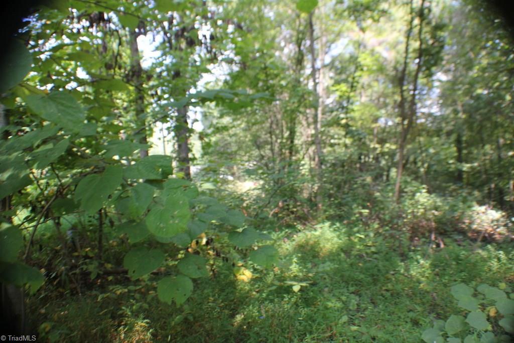 121 Sawbriar Road Pinnacle, NC 27043 - Photo 5 of 5 Gallery Image 5