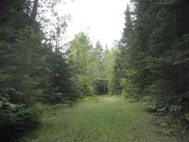 4720 Boyer Road Mercer, WI 54547 - Photo 8 of 20 Gallery Image 8