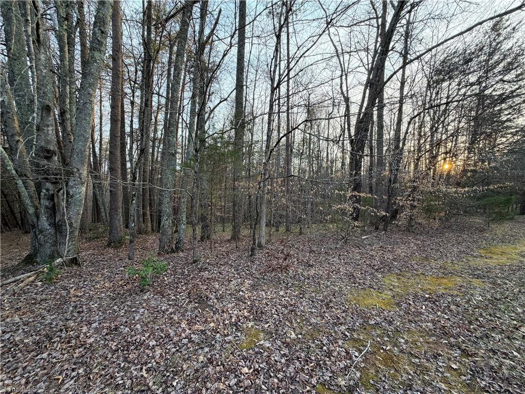 1202 Farm Road Pilot Mountain, NC 27041 - Photo 31 of 49