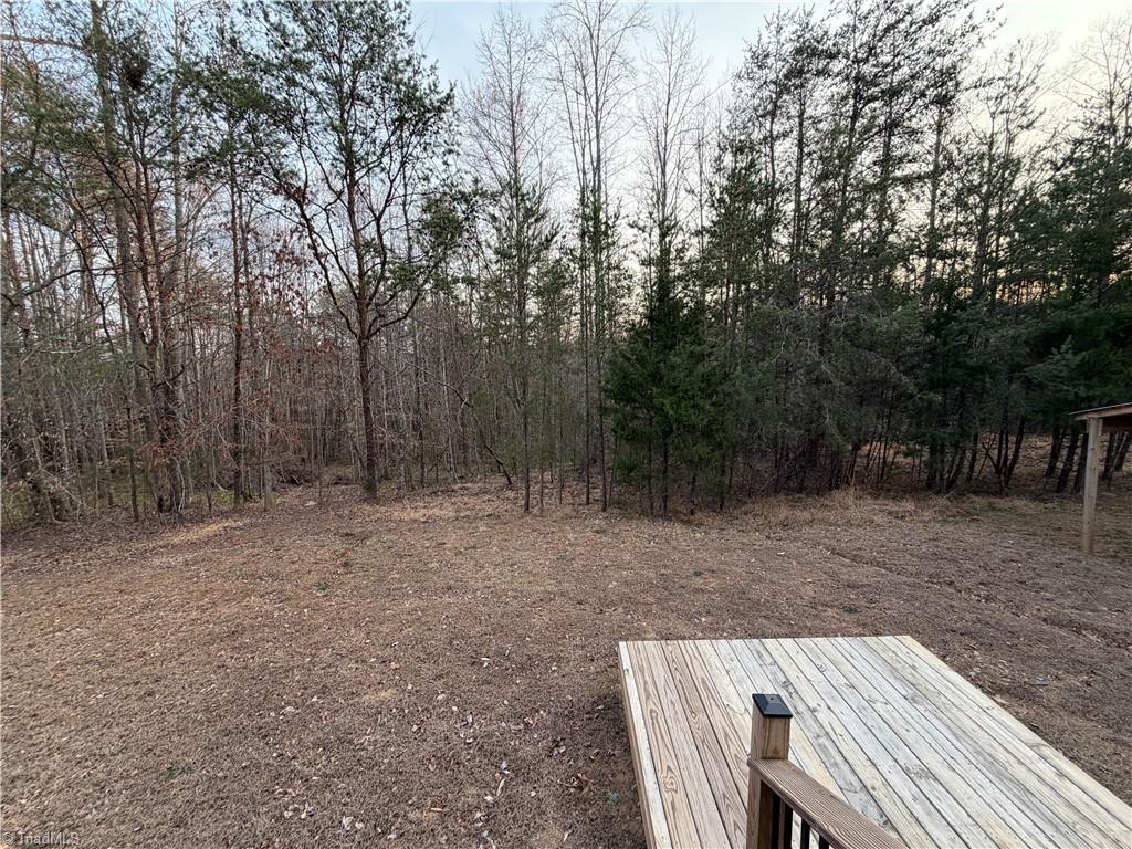 1202 Farm Road Pilot Mountain, NC 27041 - Photo 35 of 49