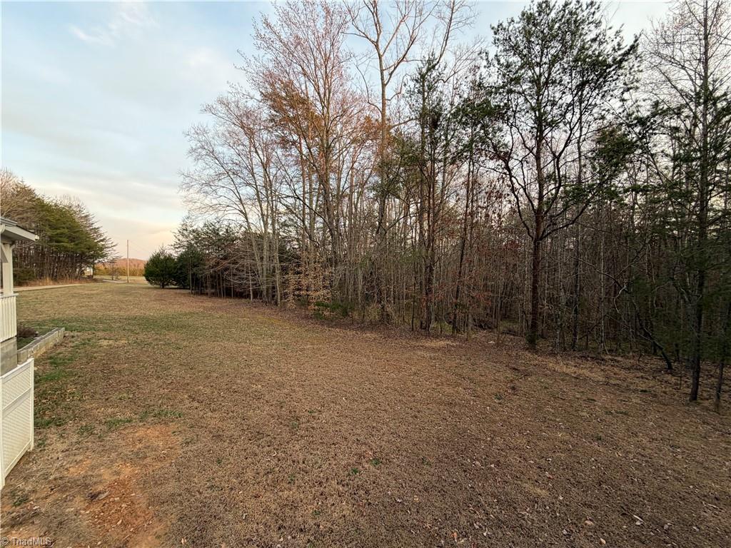 1202 Farm Road Pilot Mountain, NC 27041 - Photo 36 of 49