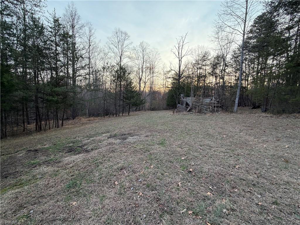 1202 Farm Road Pilot Mountain, NC 27041 - Photo 40 of 49