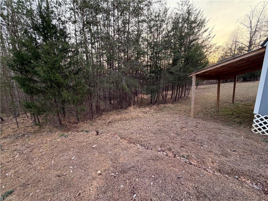 1202 Farm Road Pilot Mountain, NC 27041 - Photo 43 of 49