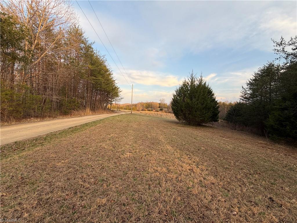 1202 Farm Road Pilot Mountain, NC 27041 - Photo 8 of 49