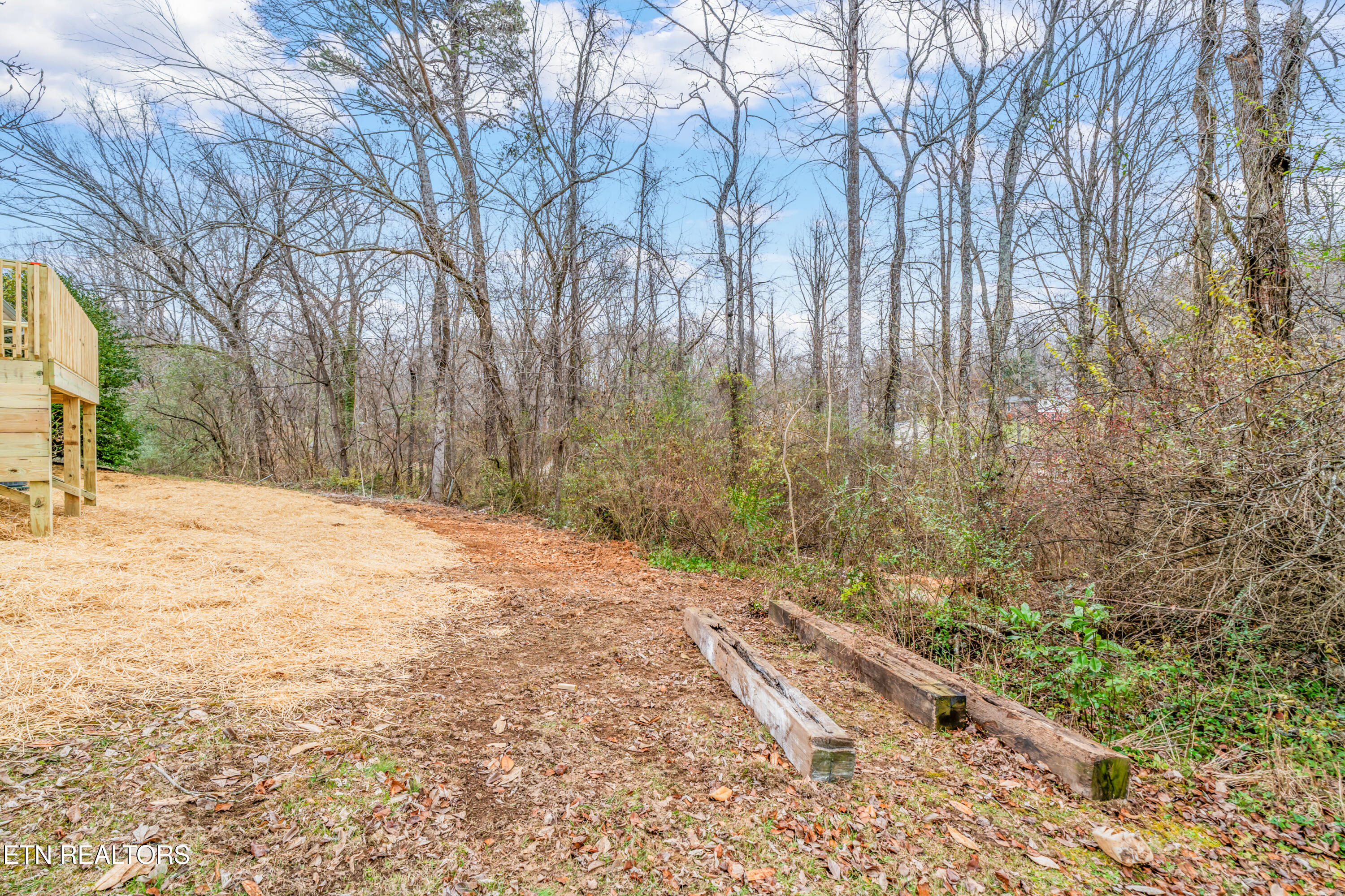 709 Foust Carney Road Powell, TN 37849 - Photo 35 of 38 709 Foust Carney Road-40