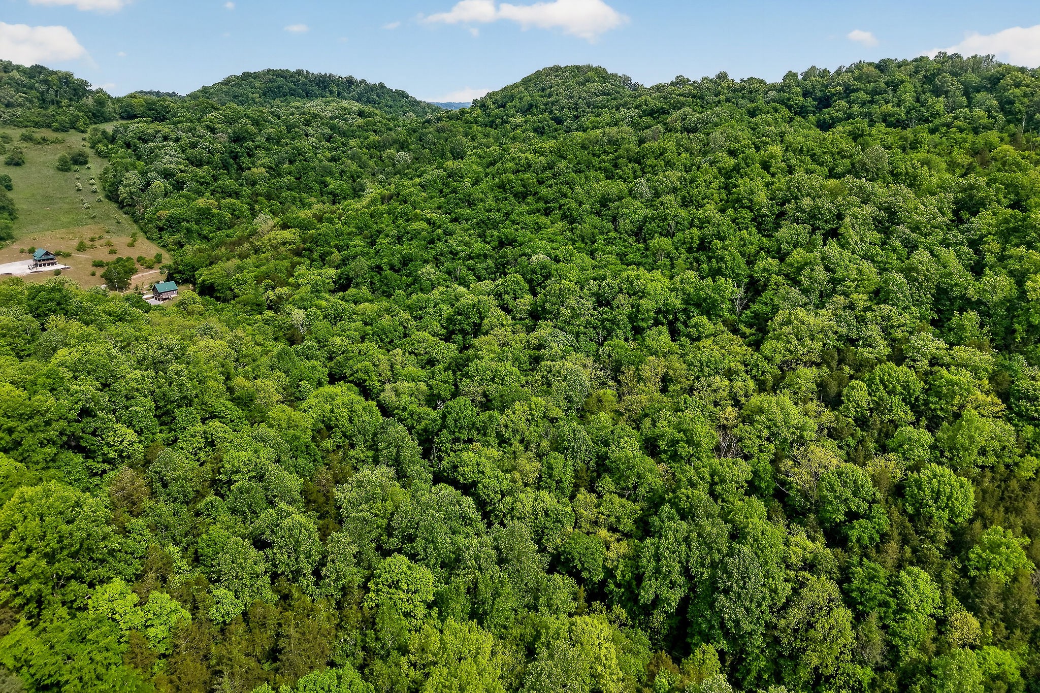4830 Ensor Hollow Road Granville, TN 38564 - Photo 3 of 61